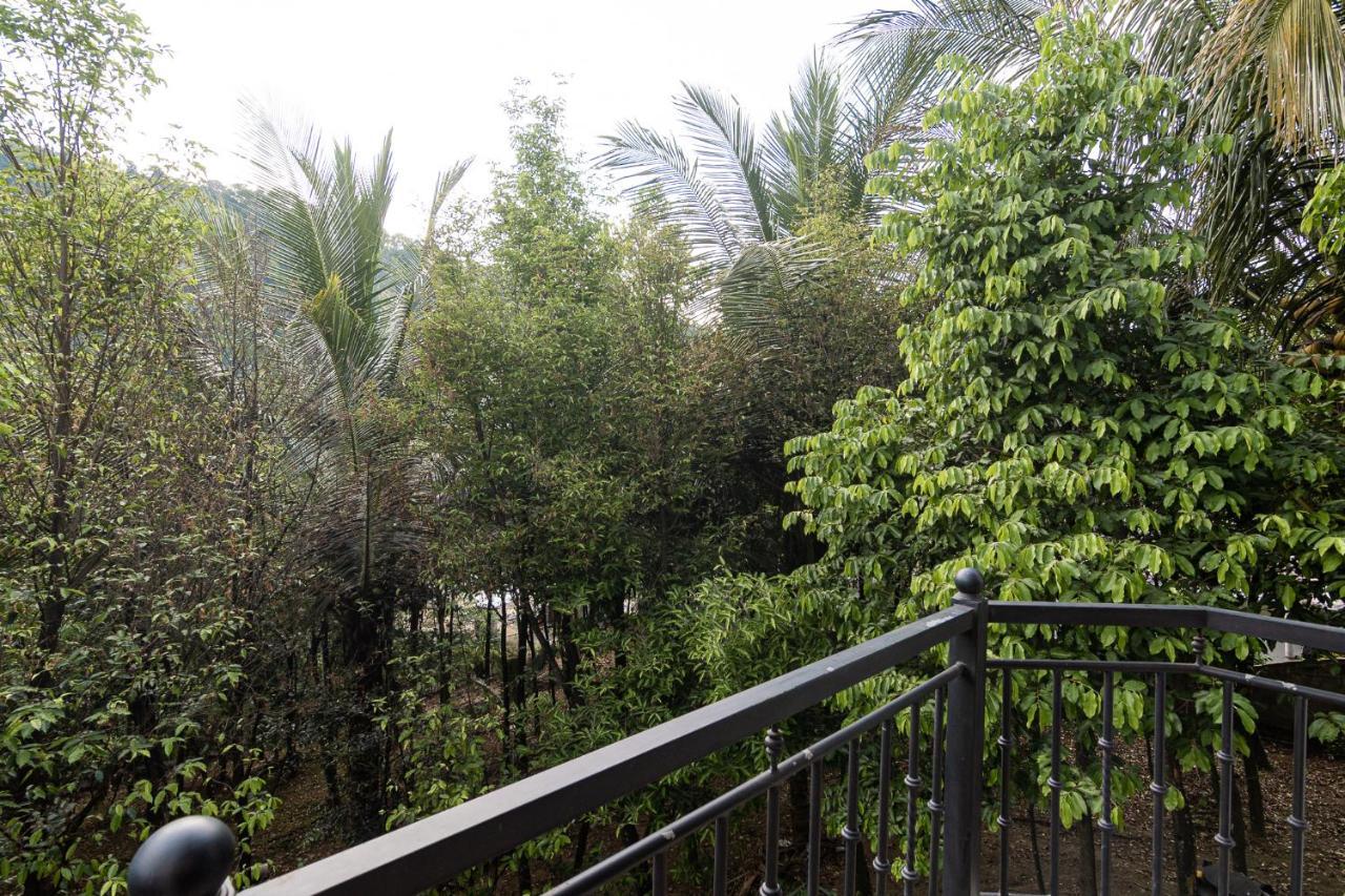 Sun Set Forest Villa كاندي المظهر الخارجي الصورة
