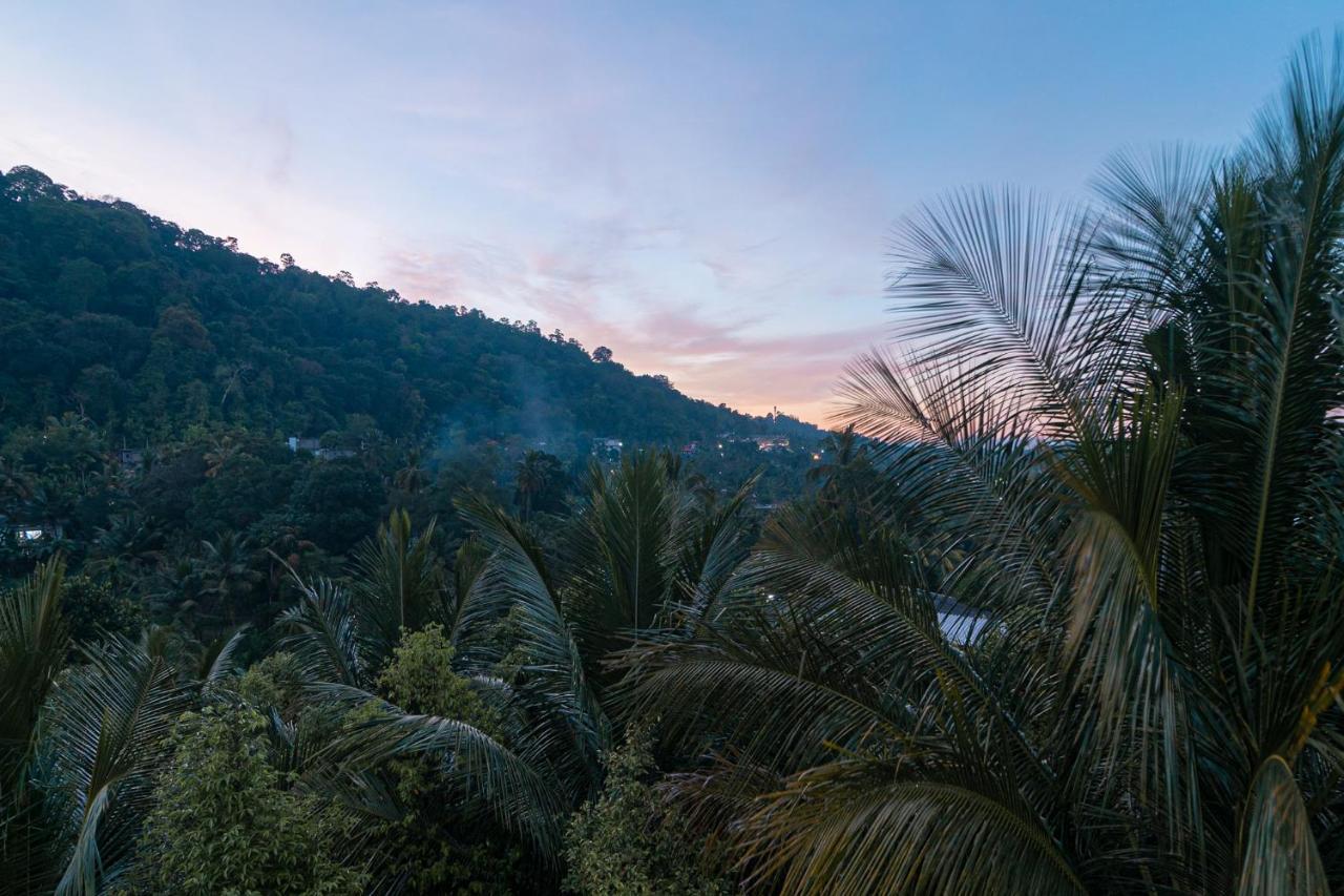 Sun Set Forest Villa كاندي المظهر الخارجي الصورة